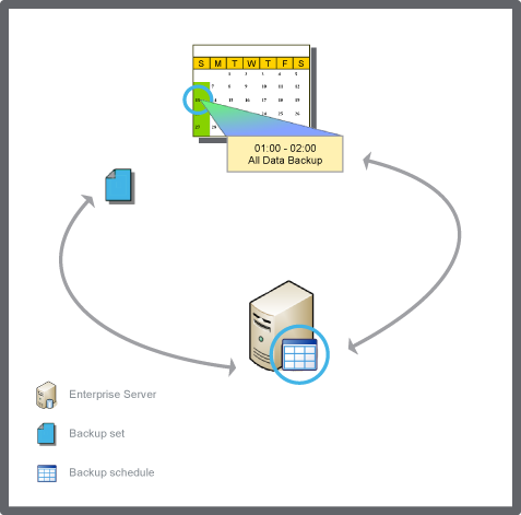 Backup on an Enterprise Server
