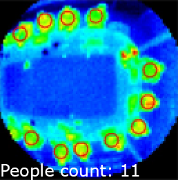 Example of a thermal image of 11 people sitting around a table