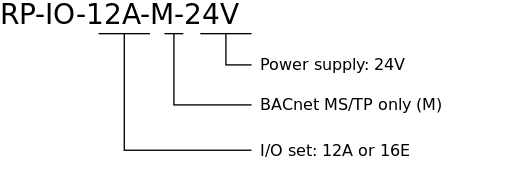 RP-IO model number structure
